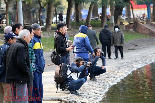 Rời Hồ Gươm, đàn thiên nga 12 con vươn cánh ở hồ Thiền Quang ảnh 5