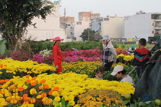 TP Hồ Chí Minh có khoảng 130 chợ hoa Tết 2018 ảnh 1