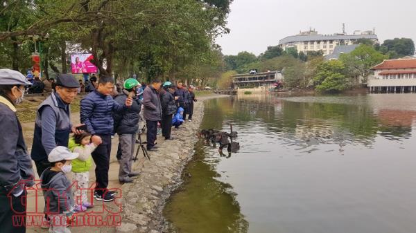 Xem cá chép của ông Công, ông Táo chờ chầu Trời ở 'hồ Thiên Nga’ ảnh 1