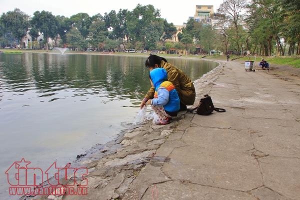 Xem cá chép của ông Công, ông Táo chờ chầu Trời ở 'hồ Thiên Nga’ ảnh 3