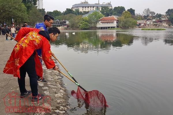 Xem cá chép của ông Công, ông Táo chờ chầu Trời ở 'hồ Thiên Nga’ ảnh 6