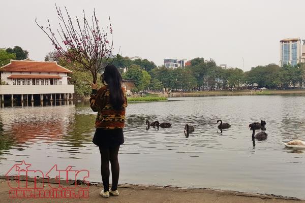 Xem cá chép của ông Công, ông Táo chờ chầu Trời ở 'hồ Thiên Nga’ ảnh 5