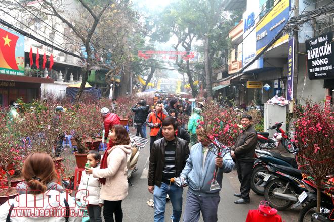 Nhộn nhịp chợ hoa Hàng Lược mỗi dịp Tết đến xuân về ảnh 1