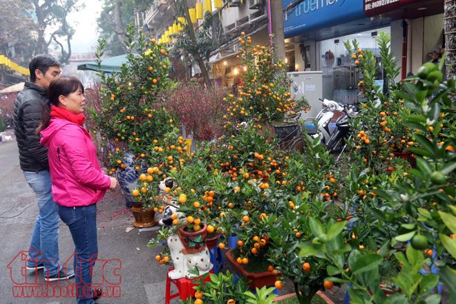 Nhộn nhịp chợ hoa Hàng Lược mỗi dịp Tết đến xuân về ảnh 3