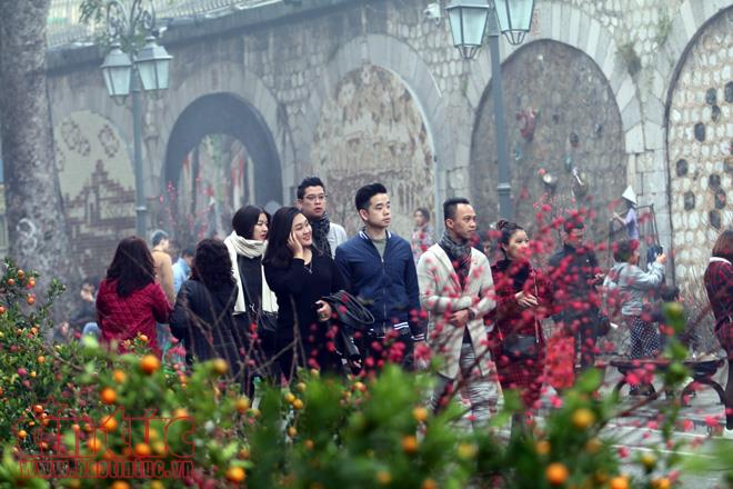 Nhộn nhịp chợ hoa Hàng Lược mỗi dịp Tết đến xuân về ảnh 12
