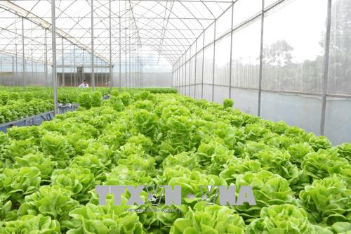 Con đường đưa hợp tác xã đến với công nghệ cao ảnh 2