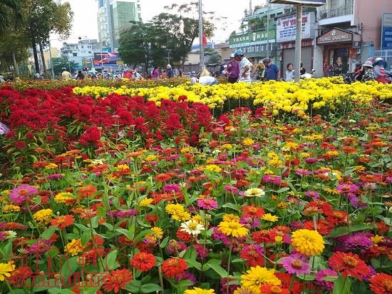 Chiều 29 Tết, người dân TP Hồ Chí Minh đổ xô đi mua hoa ảnh 1