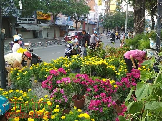 Chiều 29 Tết, người dân TP Hồ Chí Minh đổ xô đi mua hoa ảnh 3
