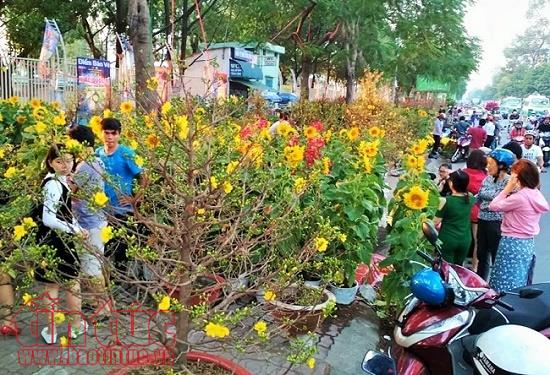 Chiều 29 Tết, người dân TP Hồ Chí Minh đổ xô đi mua hoa ảnh 4