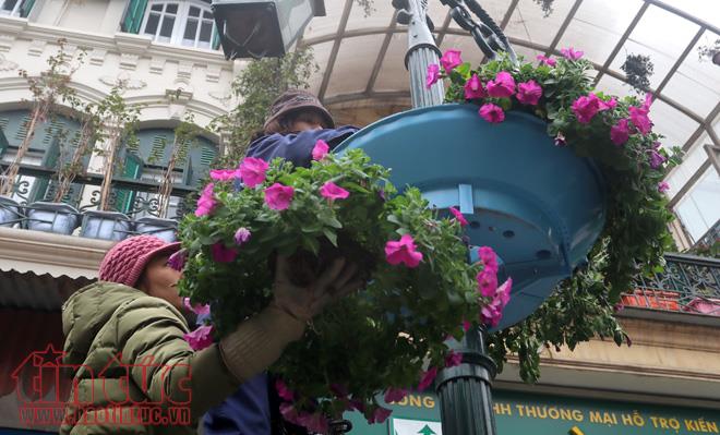 Trung tâm Hà Nội rực rỡ trước thềm Tết Nguyên đán ảnh 1