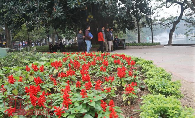 Trung tâm Hà Nội rực rỡ trước thềm Tết Nguyên đán ảnh 5