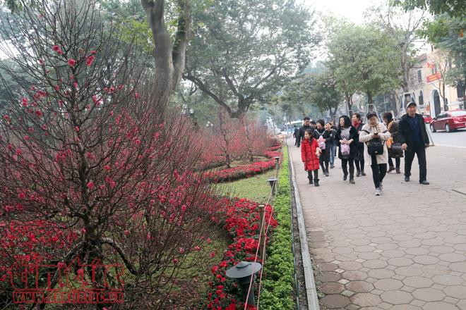 Trung tâm Hà Nội rực rỡ trước thềm Tết Nguyên đán ảnh 6