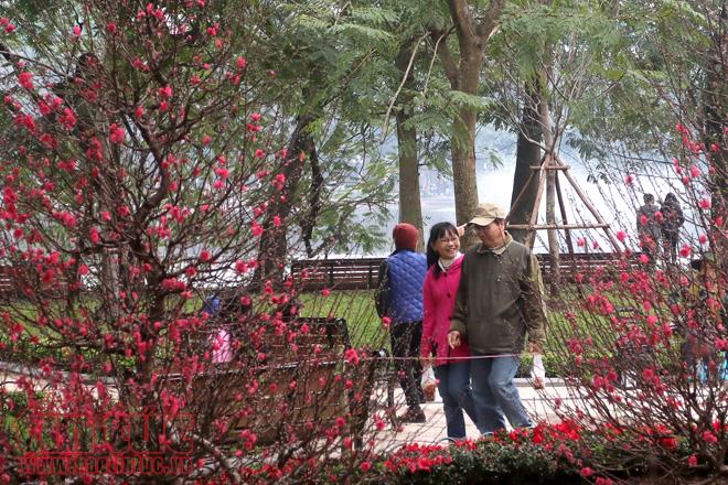 Trung tâm Hà Nội rực rỡ trước thềm Tết Nguyên đán ảnh 7