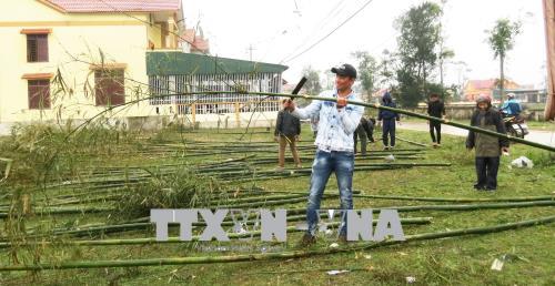 Lưu giữ Tết xưa qua tục dựng nêu ngày cuối năm ở làng biển ảnh 1