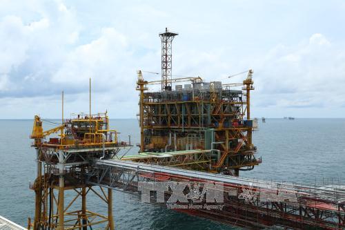 'Trường' đào tạo nghề giữa trùng khơi ảnh 1