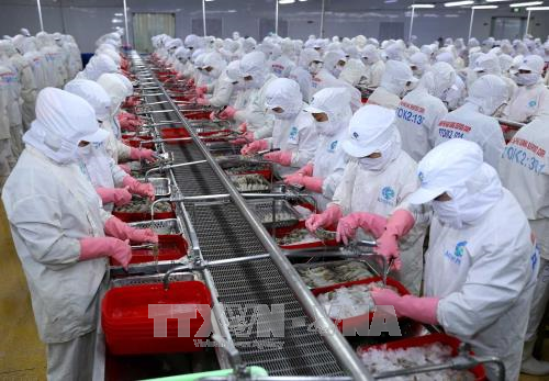 Sản xuất nông nghiệp thời 4.0 ảnh 1