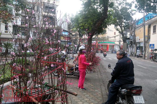 Thú chơi hoa đào sau Tết của người Hà Nội ảnh 1