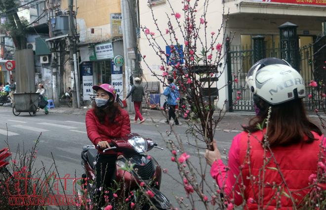 Thú chơi hoa đào sau Tết của người Hà Nội ảnh 4