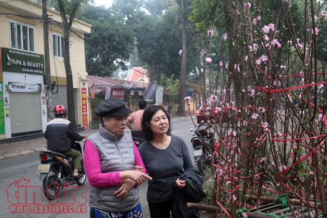 Thú chơi hoa đào sau Tết của người Hà Nội ảnh 5