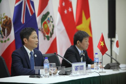 CPTPP - động lực gắn kết châu Á - Thái Bình Dương ảnh 1