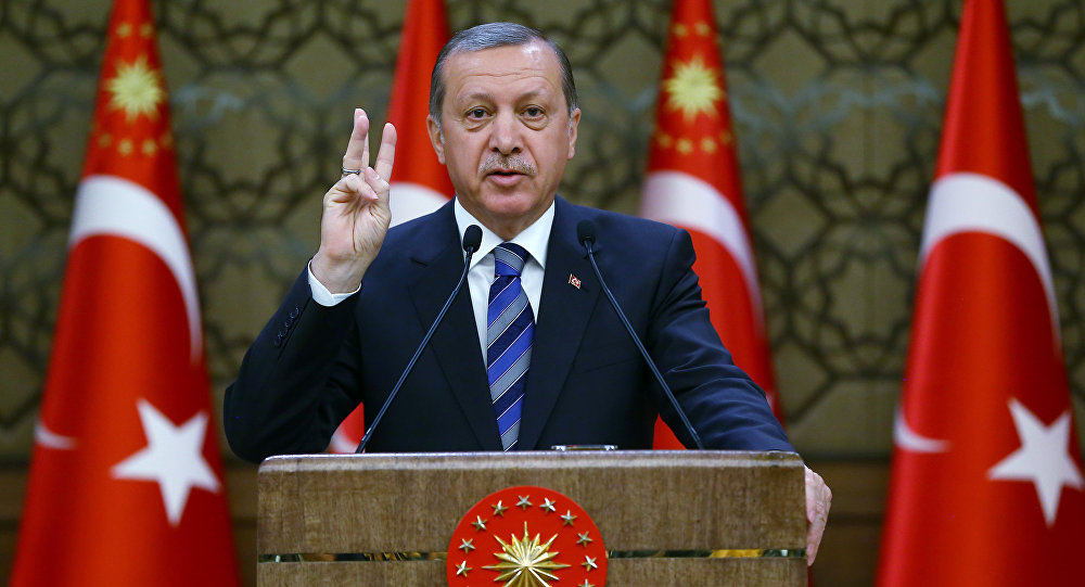 Tổng thống Erdogan chỉ trích NATO không ủng hộ Thổ Nhĩ Kỳ tại Syria ảnh 1