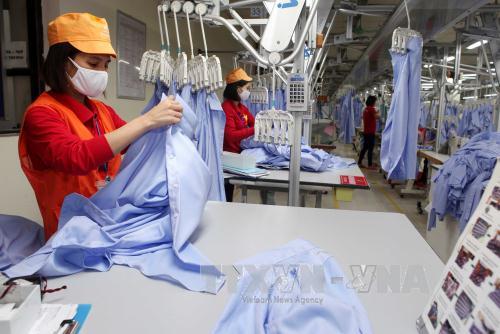 CPTPP tác động sâu rộng và toàn diện đến Việt Nam - Bài 2: Việt Nam đủ khả năng vượt qua thách thức ảnh 3