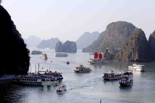 Xử lý nước thải và quản lý du lịch tại Vịnh Hạ Long ảnh 1