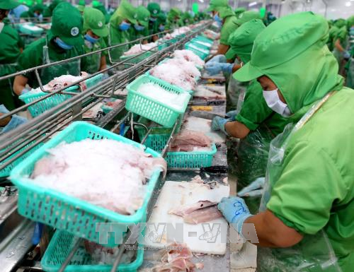 Xuất khẩu nông sản đứng trước cơ hội lập những kỷ lục mới ảnh 2