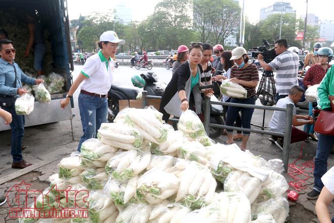 Người dân Thủ đô 'giải cứu' củ cải giúp nông dân Tráng Việt ảnh 9