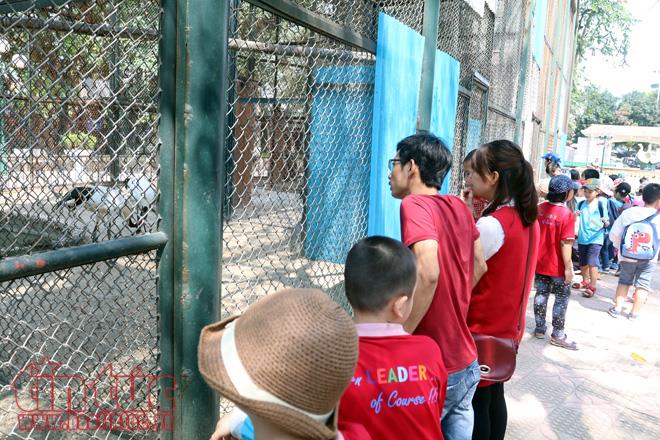 Ngắm đôi sếu đầu đỏ cực hiếm trên thế giới tại Hà Nội ảnh 3