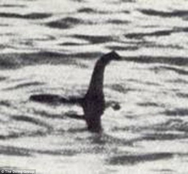 Xác sinh vật giống quái vật hồ Loch Ness dạt vào bờ ảnh 2