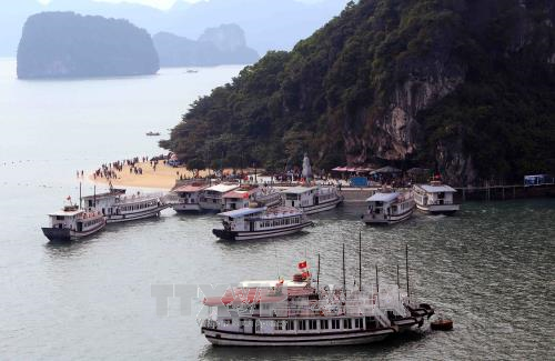 Nhân Ngày nước thế giới 22/3: Bài 2 - Thúc đẩy doanh nghiệp bảo vệ môi trường Vịnh Hạ Long ảnh 1