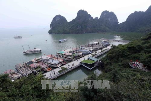 Nhân Ngày nước thế giới 22/3: Bài 2 - Thúc đẩy doanh nghiệp bảo vệ môi trường Vịnh Hạ Long ảnh 2