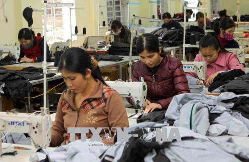 Thương mại Việt Nam - Pháp liên tục tăng trưởng ảnh 1
