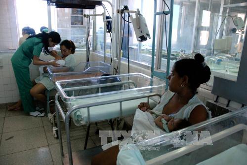Cuba trên con đường đã chọn ảnh 1