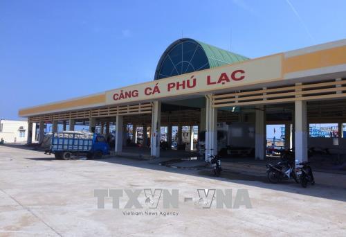 Phú Yên: Nhiều bất cập trong việc thuê mặt bằng Cảng cá Phú Lạc ảnh 1