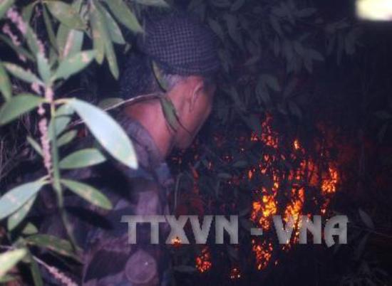 Hiểm họa cháy 'lơ lửng trên đầu' nhiều địa phương ảnh 1
