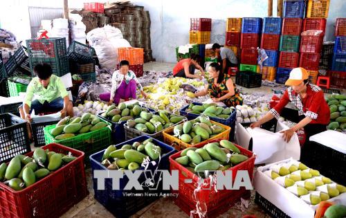 Triển vọng xuất khẩu trái cây đạt kim ngạch 10 tỷ USD ảnh 2