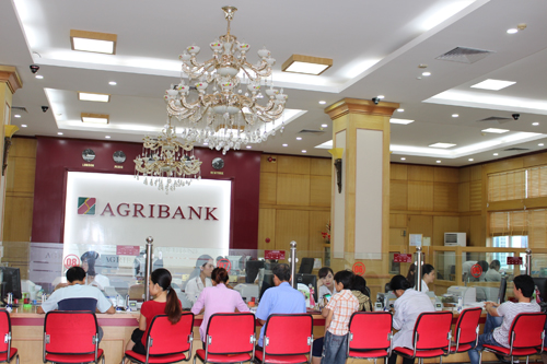 Vay vốn Agribank nhận máy nông nghiệp của Yanmar ảnh 1