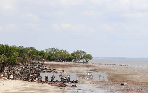 Đồng bằng sông Cửu Long ứng phó với sạt lở: Bài cuối: Chọn bước đi để ứng phó phù hợp ảnh 2