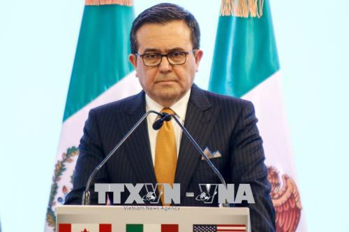 Bộ trưởng Mexico: Còn nhiều vấn đề cần giải quyết trong tái đàm phán NAFTA ảnh 1