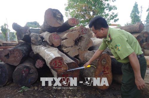 Mở rộng điều tra vụ bắt giữ 2 xe gỗ quý không rõ nguồn gốc ảnh 1