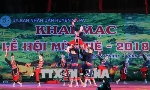 Khai mạc Lễ hội du lịch mùa hè Sa Pa năm 2018 ảnh 2