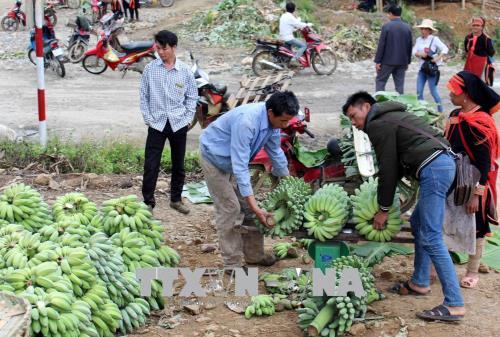 Hiệu quả từ mô hình kết nghĩa thôn bản biên giới Việt - Trung ảnh 1