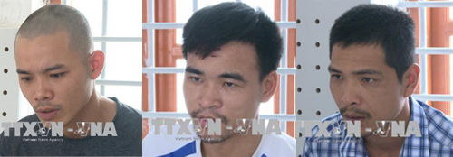 Thái Bình: Khởi tố vụ án hình sự trộm cắp tài sản ở các cơ quan, doanh nghiệp ảnh 1