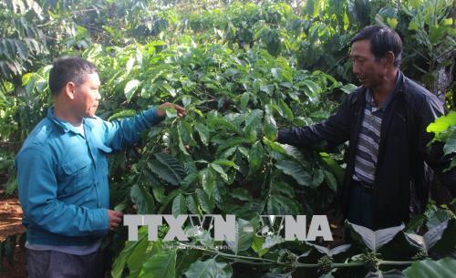 Hiến 4.000m2 đất cho phong trào xây dựng nông thôn mới ở Đắk Nông ảnh 1