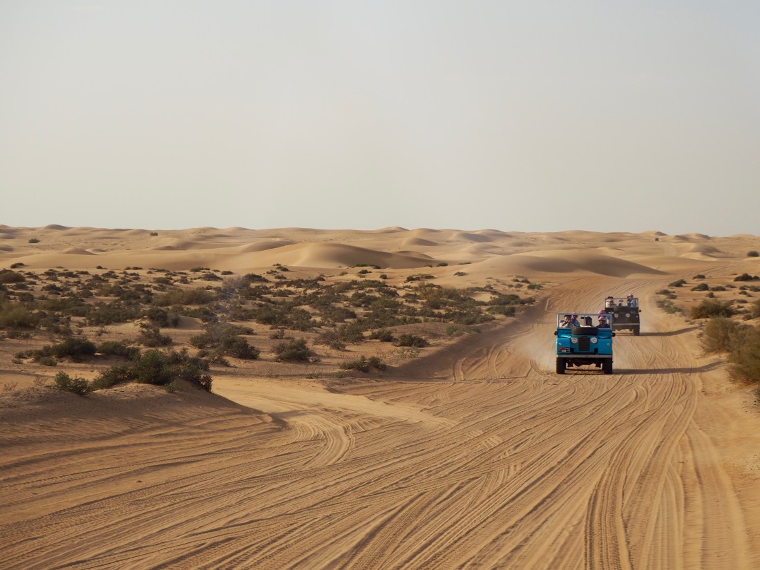 Trung Quốc trồng lúa trên sa mạc ở Dubai ảnh 1
