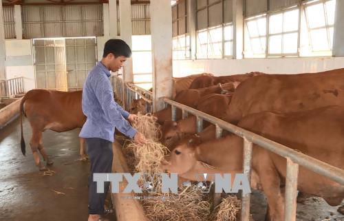 Say mê nghiên cứu giúp đồng bào vùng cao phát triển kinh tế ảnh 1