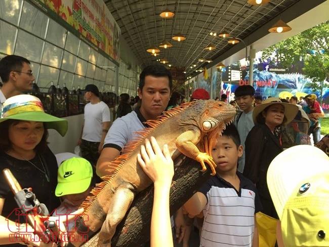 1.000 tấn trái cây an toàn, giá rẻ được bán tại Lễ hội trái cây Nam bộ ảnh 5