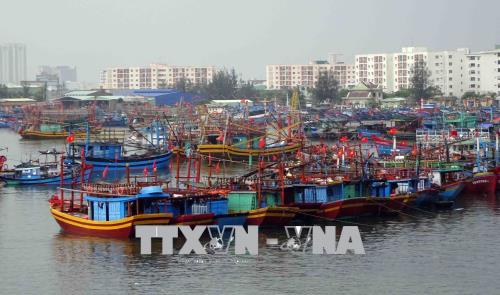 Đà Nẵng chủ động phòng chống áp thấp nhiệt đới ảnh 1